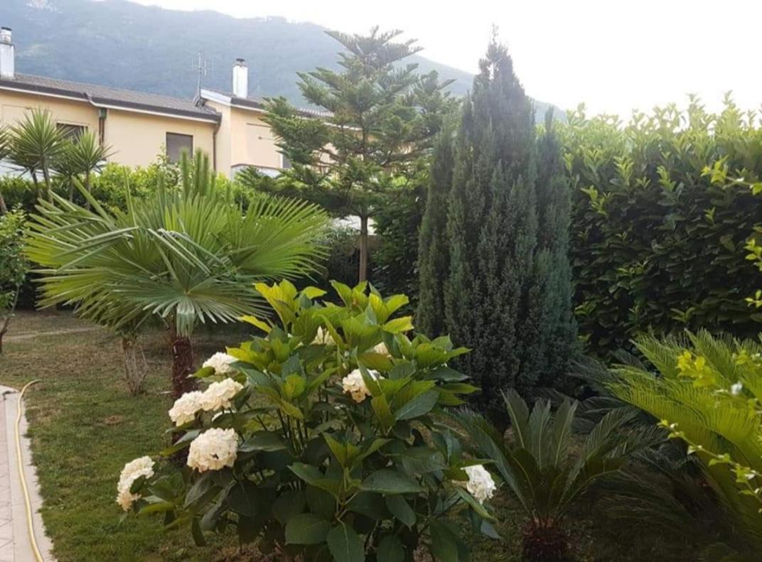 B&B Rossella Montoro Inferiore Exteriér fotografie